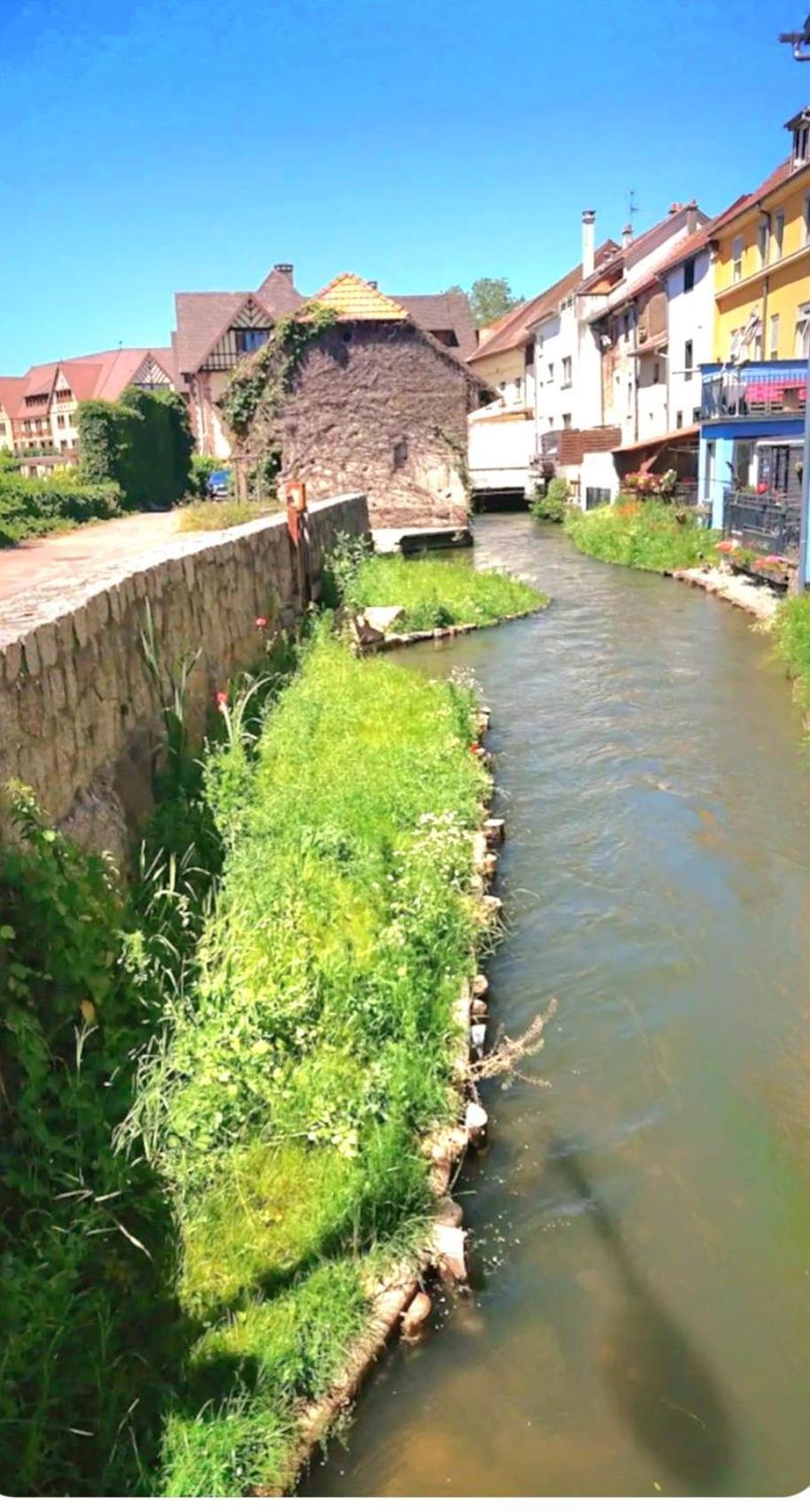 Vila L'Atypique Des Remparts Ensisheim Exteriér fotografie